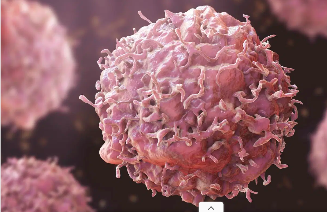 NGO Highlights Stigmatization of Breast Cancer Survivors, Launches Empowerment Program in Nigeria