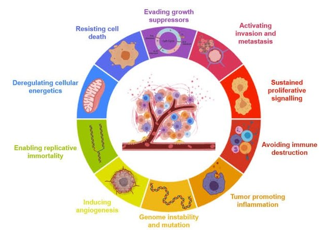 Cancer in Nigeria: Current Situation and Efforts to Improve Care