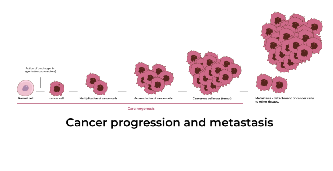 What are the warning signs of cancer?